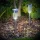 Garden of Eden 11702A LED-es kültéri szolár lámpa