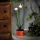 Garden of Eden 11735A Szolár színes virág - 8 x 8 x 32 cm - 10 melegfehér LED - lila