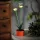 Garden of Eden 11735B Szolár színes virág - 8 x 8 x 32 cm - 10 melegfehér LED - piros