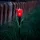 Garden of Eden 11750 LED-es szolár tulipánlámpa - sárga / piros / rózsaszín - 31 cm - 24 db / kínáló