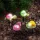 Garden of Eden 11751 Leszúrható szolár - többféle - fehér LED - 10 x 6 x 15 cm