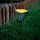 Garden of Eden 11754 Leszúrható szolár virág - 3 szín - 30 x 10 cm - fehér LED