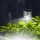 Garden of Eden 11783 Szolár lámpa - fali - 10 x 5 x 8 cm - 4 fehér SMD LED