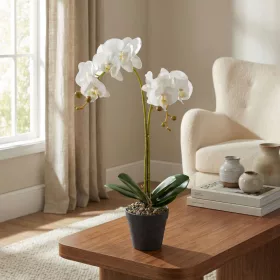 Műnövény dekoráció - orchidea - 2 féle - 54 cm, 11918