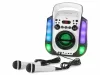Fenton SBS30W karaoke hordozható hangfal (Bluetooth, USB, CD, 2x Mikrofon)