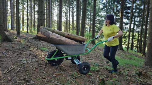Mobarrow Standart Classic 15400999 akkumulátoros talicska, 250W, 150Kg akkuval, önjáró, 100 liter