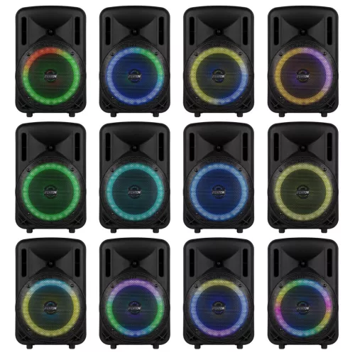 Fenton FT08LED MK2 (8") 300W akkumulátoros hordozható hangfal (1x mik + MP3 + Bluetooth)