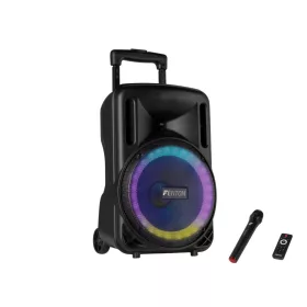   Fenton FT10LED MK2 (10") 450W akkumulátoros hordozható hangfal (1xMik + MP3 + Bluetooth)