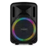 Fenton FT12LED MK2 (12") 700W akkumulátoros hordozható hangfal (1xMik + MP3 + Bluetooth)