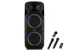 Fenton FT212LED (12") 1400W akkumulátoros hordozható hangfal (2x mik + MP3 + Bluetooth)