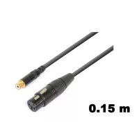 XLR - RCA