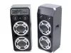 ReVoLuTioN DPX-210 2x800W (2x 10") aktív karaoke hangfal (FM + MP3 + Bluetooth)