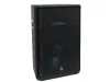 Thunder PRO-15 passzív hangfal 300/600W (15")