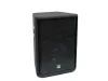 Thunder PRO-10 passzív hangfal 150/300W (10")
