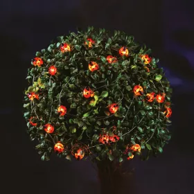   Garden of Eden 58220B Szolár LED fényfüzér - katicabogár - 2,4 m - 25 LED - melegfehér