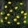 Garden of Eden 58220D Szolár LED fényfüzér - méhecske - 2,4 m - 25 LED - melegfehér