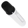 Adler AD1199w karaoke hangszóró mikrofonnal