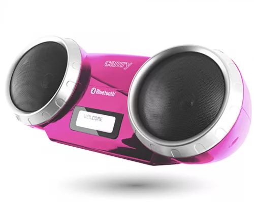 Camry CR1139P Bluetooth hangszóró