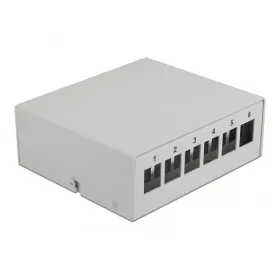Delock Szürke 6 portos Keystone próbapanel (DL-43410)