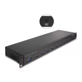 Delock 19  ipari hub 10 x USB 10 Gbps A-típusú (DL-64240)