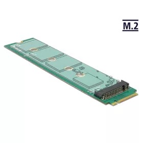 Delock Adapter M.2 Key M apa > M.2 Key A slot (DL-65699)
