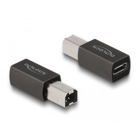   Delock USB 2.0 adapter USB Type-C  anya   B-típusú apa (DL-65839)
