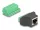 Delock RJ50 anya - Terminal block adapter nyomógombbal (DL-66244)