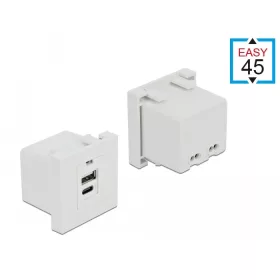   Delock Easy 45 USB töltő port modul 1 x A-típusú és 1 x USB Type-C  csatlakozó felülettel (DL-81313)