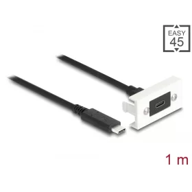   Delock Easy 45 modul SuperSpeed USB 10 Gbps (USB 3.2 Gen 2) USB Type-C  anya - USB Type-C  apa rövid kábellel, 22,5 x 45 mm (DL-81386)