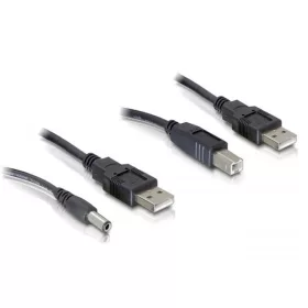 Delock kábelszett, 2db USB-A - DC + USB-B 30cm (DL-82461)