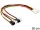 Delock Molex 4 pin apa > 4 x 2 pin ventillátor tápkábel (DL-83343)