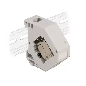   Delock DIN sín adapter Keystone modullal RJ45 anya Cat.6A LSA (DL-86014)