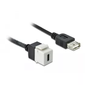   Delock Keystone modul, USB 2.0 C-csatlakozóhüvely > USB 2.0 A-csatlakozóhüvely, kábellel (DL-86391)