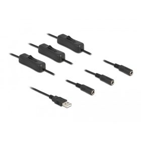   Delock A-típusú USB apa   3 db. DC 5,5 x 2,1 mm anya csatlakozójú, 1 méter hosszú kábel (DL-86798)