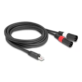   Delock Adapter RJ45 kábel apa - 2 XLR 3 tűs apa fekete színű 2 m (DL-88173)