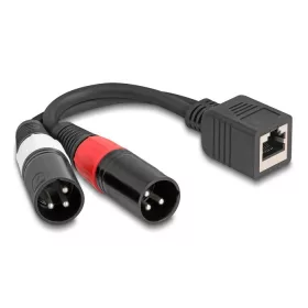   Delock Adapter RJ45 kábel anya - 2 x XLR 3 tűs apa, fekete színű 20 cm (DL-88179)