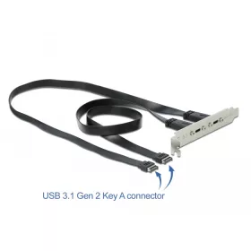 Delock Csatlakozó aljzat 2 x USB Type-C  porttal (DL-89935)