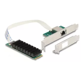   Delock Átalakító, M.2 aljzat B+M nyílással 1 x RJ45 10 Gigabit LAN (DL-95274)