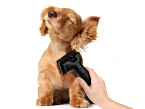 PORSZÍVÓ SZÍVÓFEJ DERMOPET ÁLLATSZŐRHÖZ Ø35MM ETA 980000091 GYÁRI