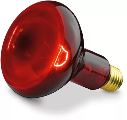 BEURER IL 11 Infravörös lámpa 100W