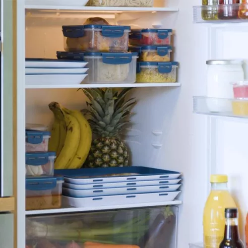 Livington Flex & Fresh frissentartó tálca, M34082