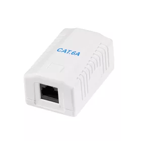   Logilink Cat.6A Felületre szerelhető doboz 1 x RJ45, árnyékolatlan (NP0100)